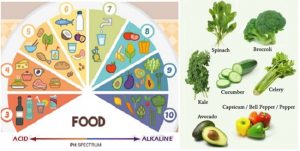 acid alkaline food chart