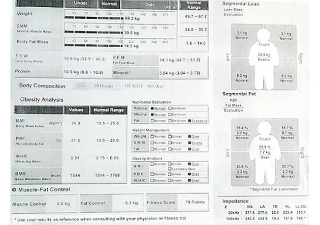 body composition and obesity analysis