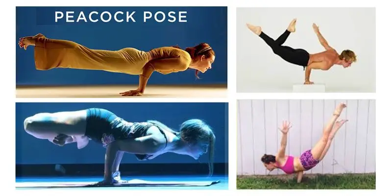 Peacock pose (Mayurasana)